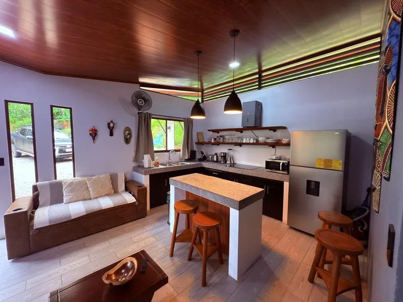 4 Bed Single Family Homes For Sale in Perez Zeledon, photo 5