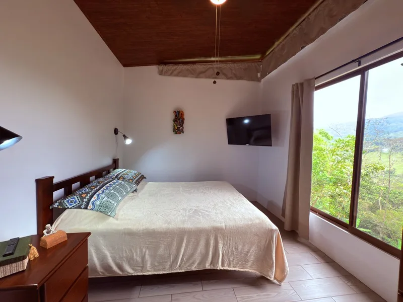 4 Bed Single Family Homes For Sale in Perez Zeledon, photo 6