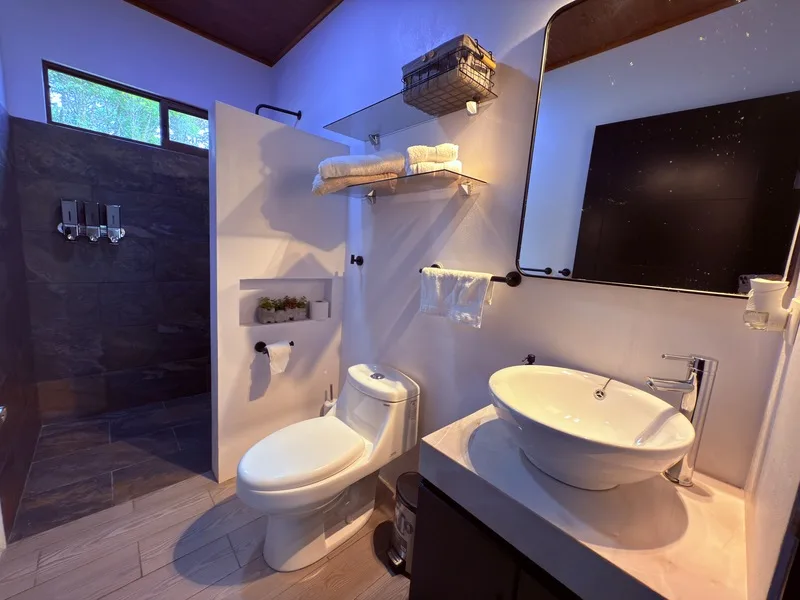4 Bed Single Family Homes For Sale in Perez Zeledon, photo 8