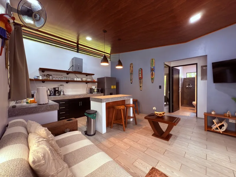4 Bed Single Family Homes For Sale in Perez Zeledon, photo 9