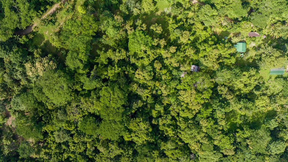 OUTSTANDING UVITA PROPERTY WITH FLEXIBILITY AND NATURAL BEAUTY – 2.5 ACRES, photo 11