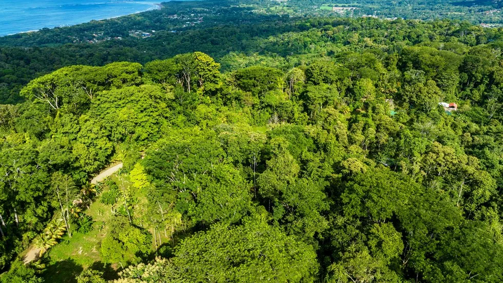 OUTSTANDING UVITA PROPERTY WITH FLEXIBILITY AND NATURAL BEAUTY – 2.5 ACRES, photo 12