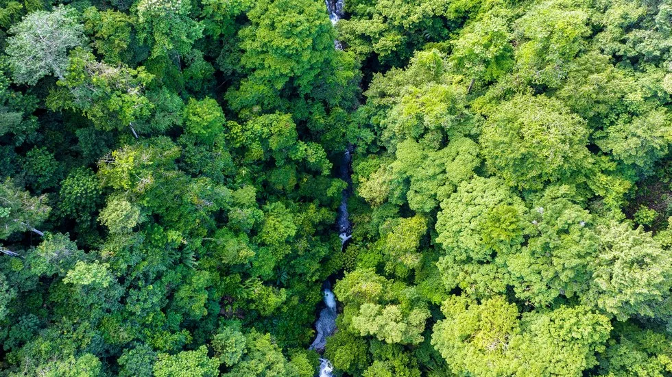 OUTSTANDING UVITA PROPERTY WITH FLEXIBILITY AND NATURAL BEAUTY – 2.5 ACRES, photo 17