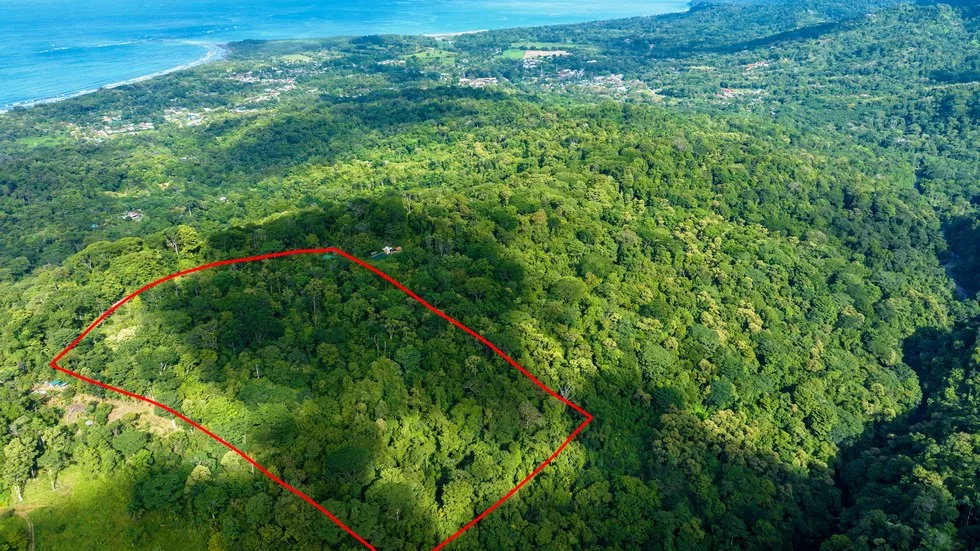 OUTSTANDING UVITA PROPERTY WITH FLEXIBILITY AND NATURAL BEAUTY – 2.5 ACRES, photo 4
