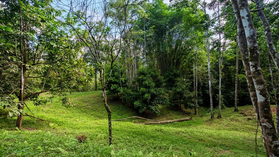 OUTSTANDING UVITA PROPERTY WITH FLEXIBILITY AND NATURAL BEAUTY – 2.5 ACRES, photo 6