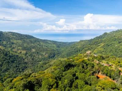 Ocean View Development Land for Sale Near Uvita, Costa Rica – 7.4 Acres of Privacy and Potential