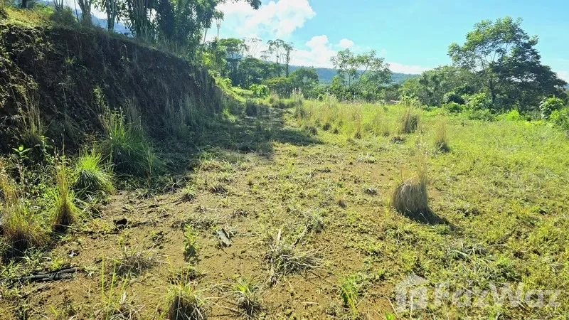 Land for Sale in Perez Zeledon, San Jose for $70,000, photo 6