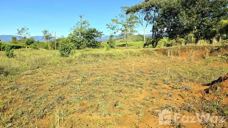 Land for Sale in Perez Zeledon, San Jose for $70,000, photo 7
