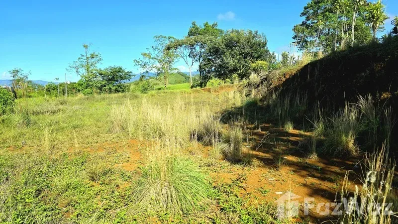 Land for Sale in Perez Zeledon, San Jose for $70,000, photo 8
