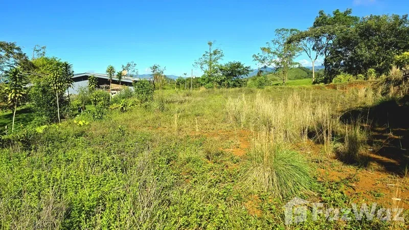 Land for Sale in Perez Zeledon, San Jose for $70,000, photo 9