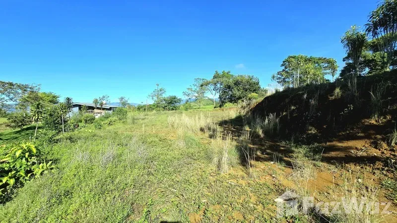 Land for Sale in Perez Zeledon, San Jose for $70,000, photo 10