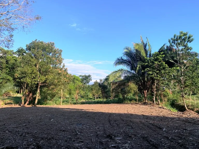 Prime Oceanside Commercial and Residential Lot in Playa Hermosa, photo 2