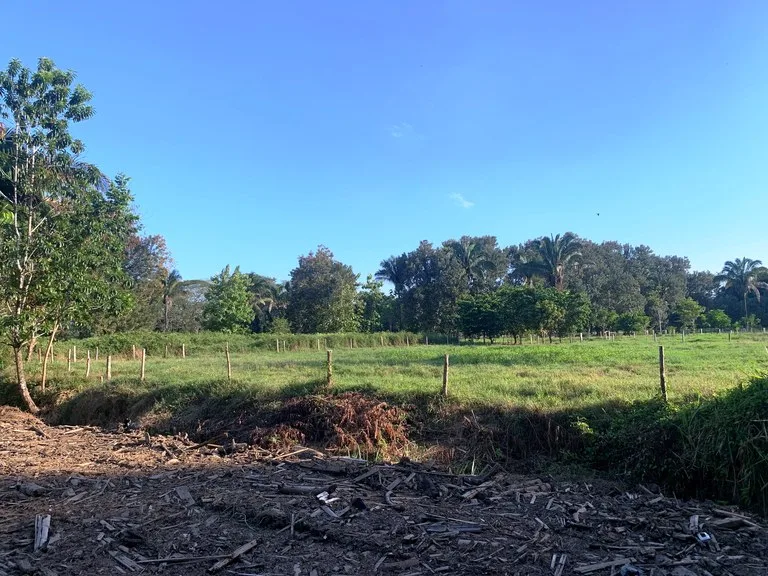 Prime Oceanside Commercial and Residential Lot in Playa Hermosa, photo 11