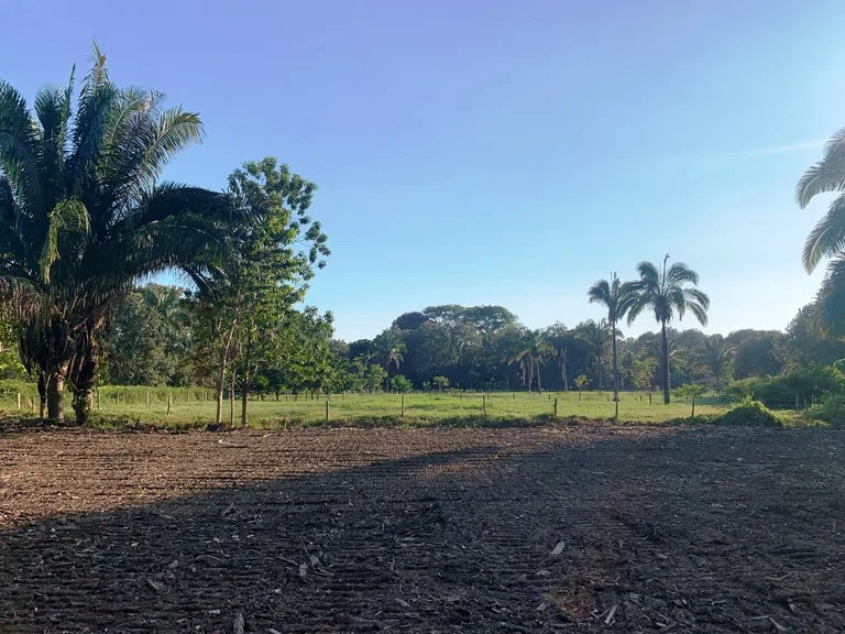 Prime Oceanside Commercial and Residential Lot in Playa Hermosa, photo 14