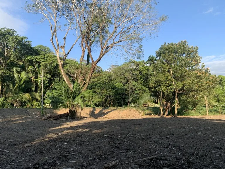 Prime Oceanside Commercial and Residential Lot in Playa Hermosa, photo 3