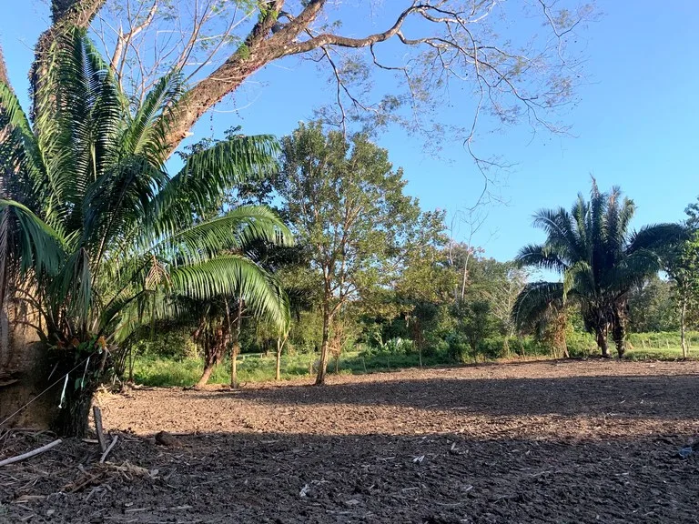 Prime Oceanside Commercial and Residential Lot in Playa Hermosa, photo 4
