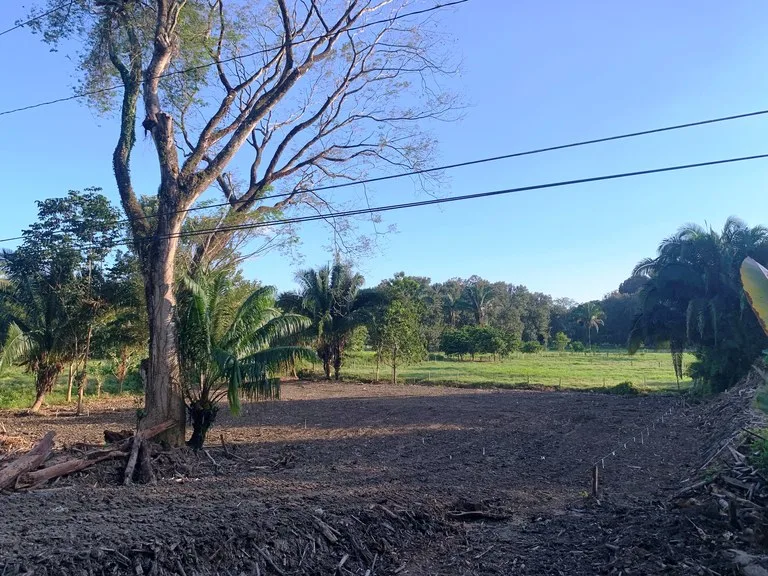 Prime Oceanside Commercial and Residential Lot in Playa Hermosa, photo 7