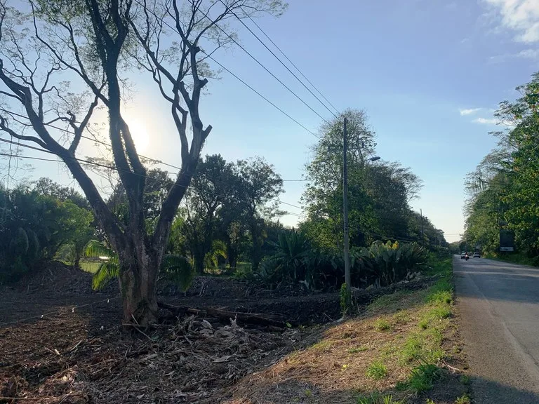 Prime Oceanside Commercial and Residential Lot in Playa Hermosa, photo 8