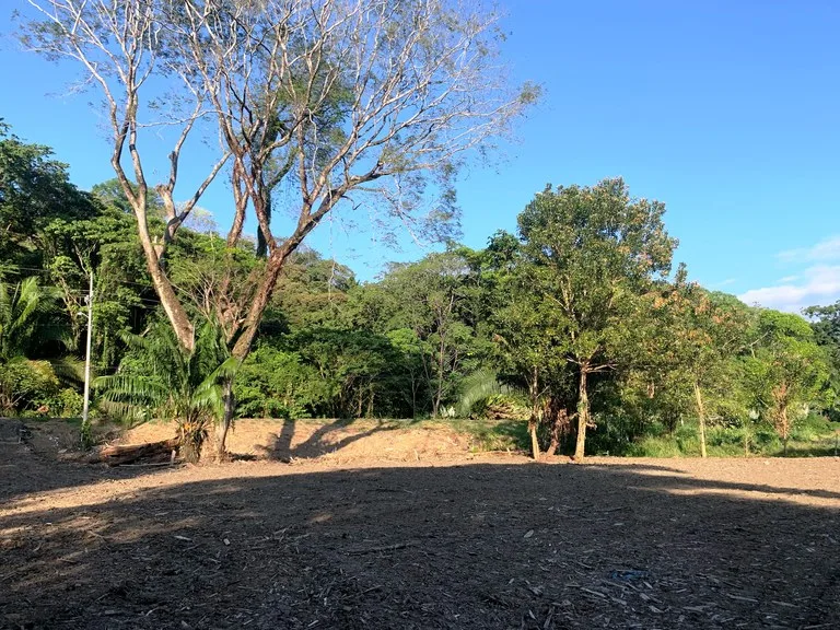 Prime Oceanside Commercial and Residential Lot in Playa Hermosa, photo 9