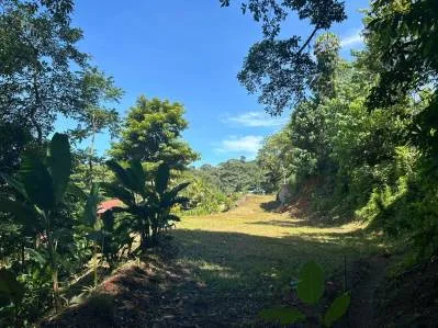 Lote razonable en venta en Uvita, photo 3