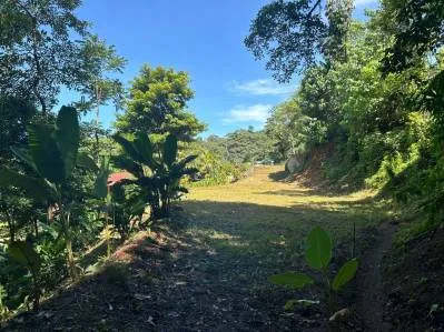 Lote razonable en venta en Uvita, photo 5