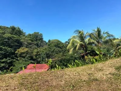 Lote razonable en venta en Uvita, photo 8