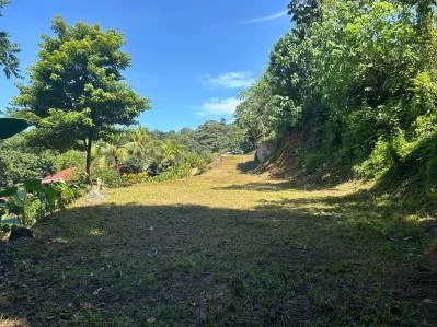 Lote razonable en venta en Uvita, photo 9