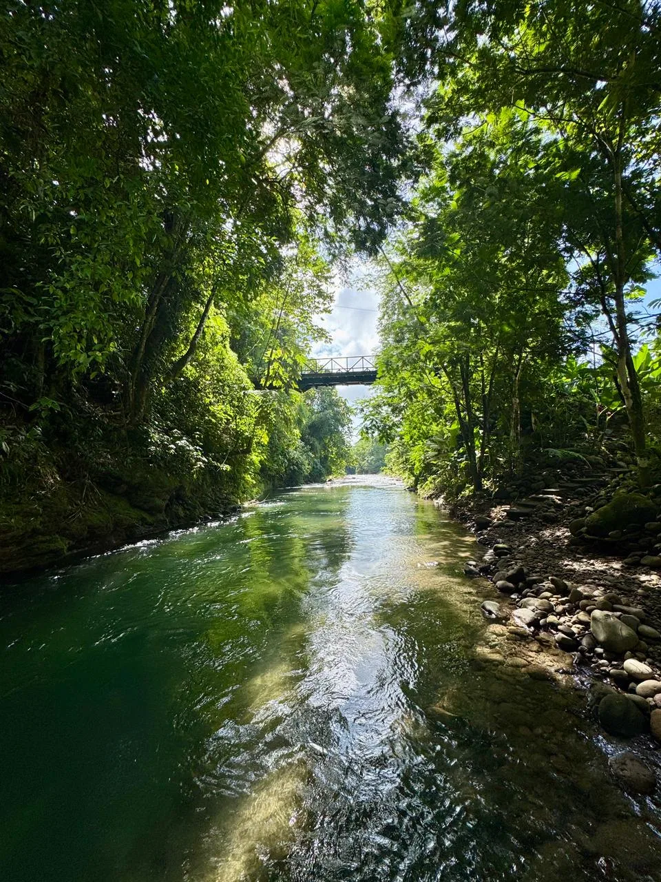 Se vende finca de lujo de 7Ha en La Fortuna de San Carlos