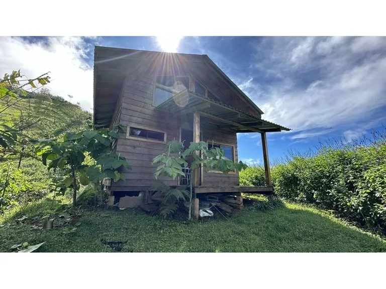 BEAUTIFUL MOUNTAIN VIEW FINCA WITH CABIN IN RIO NUEVO, photo 2