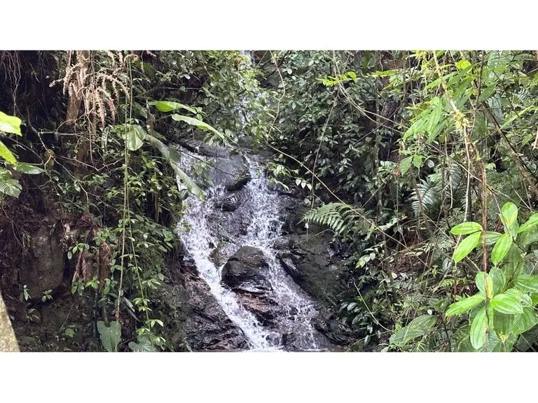 BEAUTIFUL MOUNTAIN VIEW FINCA WITH CABIN IN RIO NUEVO, photo 3