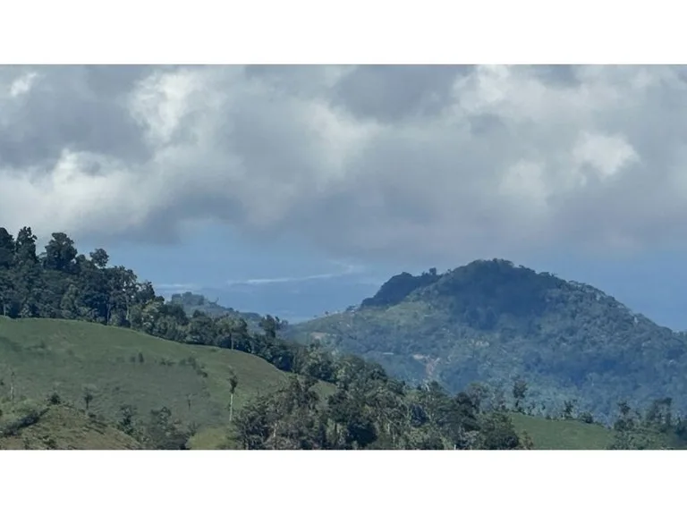 BEAUTIFUL MOUNTAIN VIEW FINCA WITH CABIN IN RIO NUEVO, photo 4