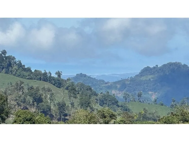 BEAUTIFUL MOUNTAIN VIEW FINCA WITH CABIN IN RIO NUEVO, photo 5