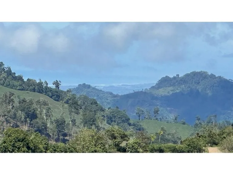 BEAUTIFUL MOUNTAIN VIEW FINCA WITH CABIN IN RIO NUEVO, photo 6