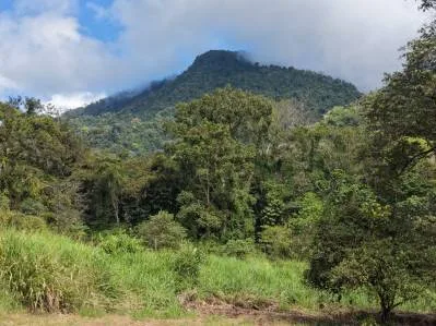 Vistas a la montaña - Plano, listo para construir, Caracara Ridge lote n.° 11, photo 6