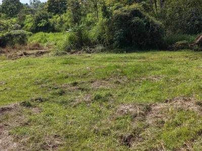 Vistas a la montaña - Plano, listo para construir, Caracara Ridge lote n.° 11, photo 7