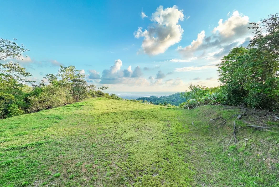 BUILDING PROPERTY WITH BEAUTIFUL VIEWS OF THE OCEAN AND SUNSET, IN TRES RIOS – 1.96 ACRES, photo 12