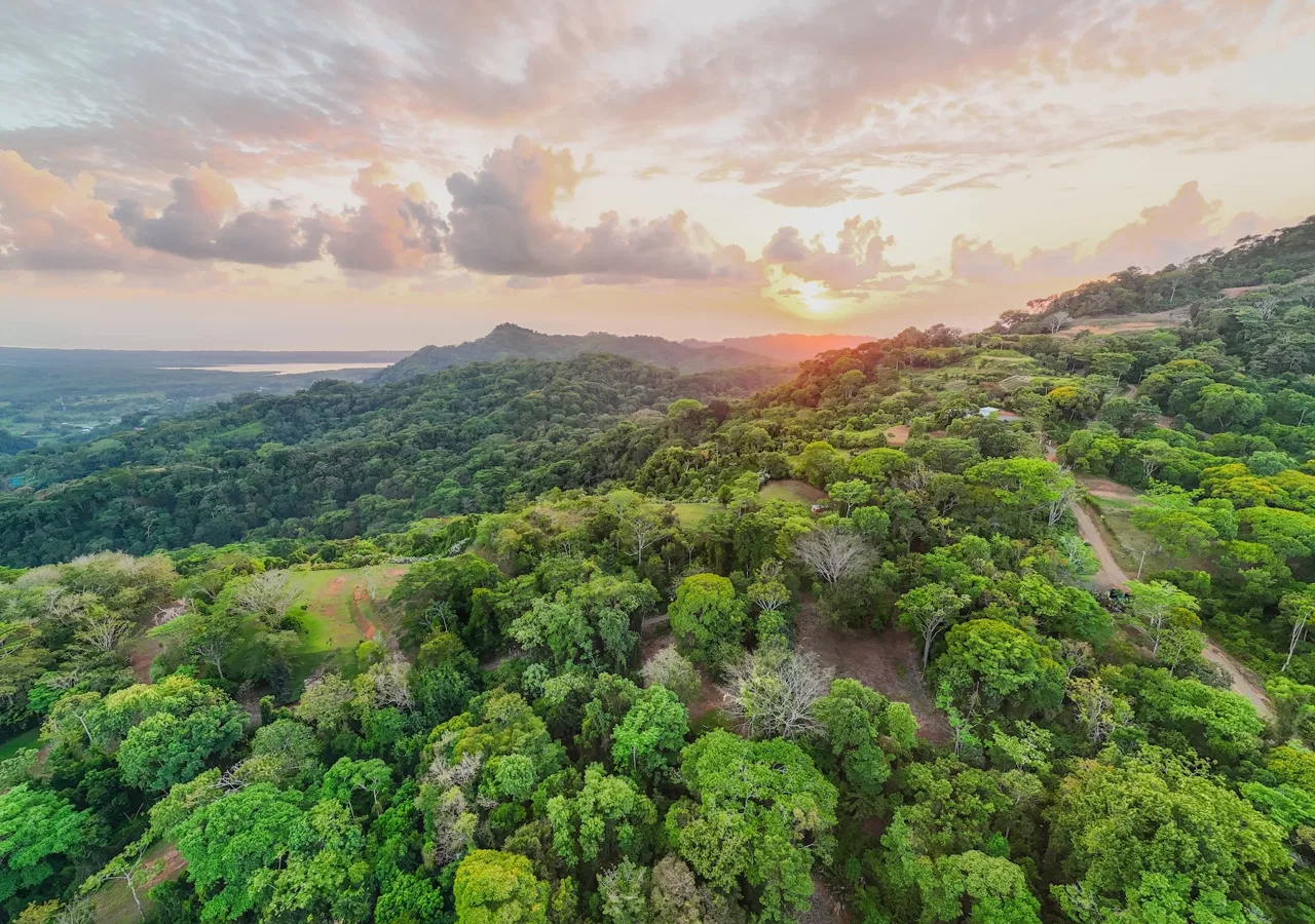 BUILDING PROPERTY WITH BEAUTIFUL VIEWS OF THE OCEAN AND SUNSET, IN TRES RIOS – 1.96 ACRES, photo 13