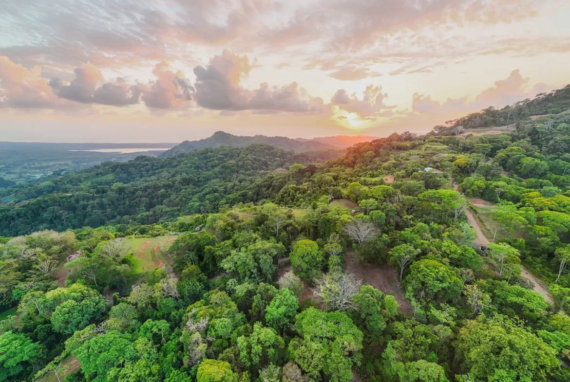 BUILDING PROPERTY WITH BEAUTIFUL VIEWS OF THE OCEAN AND SUNSET, IN TRES RIOS – 1.96 ACRES, photo 14