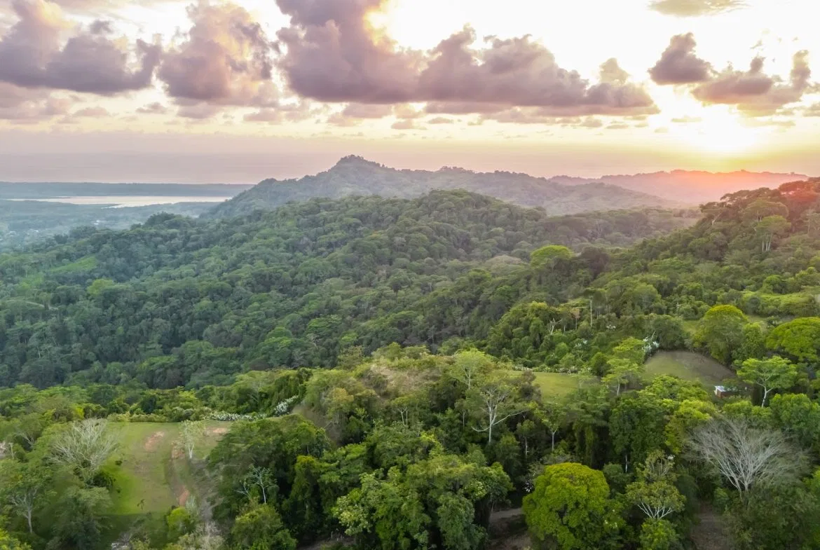 BUILDING PROPERTY WITH BEAUTIFUL VIEWS OF THE OCEAN AND SUNSET, IN TRES RIOS – 1.96 ACRES, photo 16