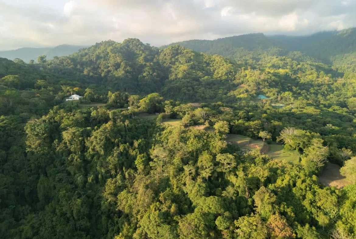 BUILDING PROPERTY WITH BEAUTIFUL VIEWS OF THE OCEAN AND SUNSET, IN TRES RIOS – 1.96 ACRES, photo 20