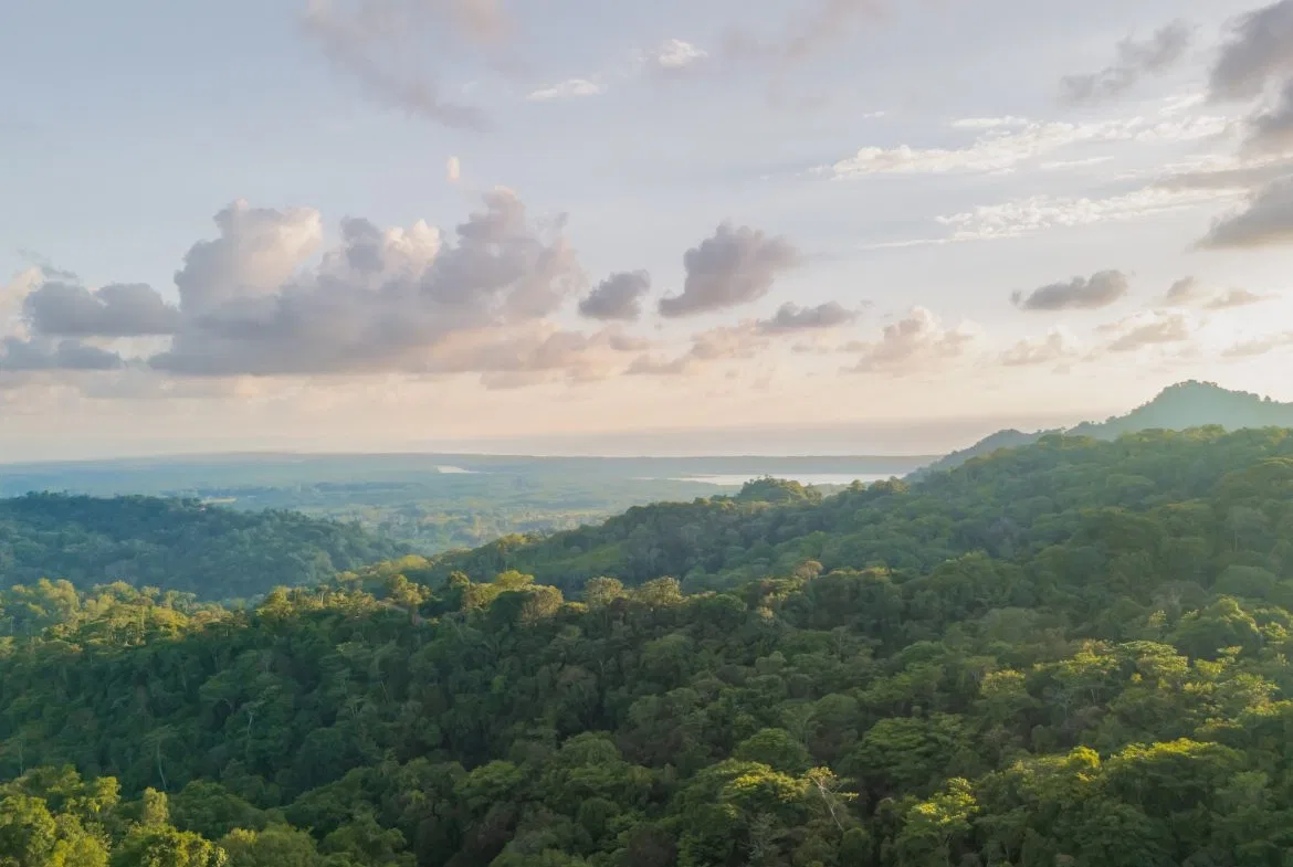 BUILDING PROPERTY WITH BEAUTIFUL VIEWS OF THE OCEAN AND SUNSET, IN TRES RIOS – 1.96 ACRES, photo 22