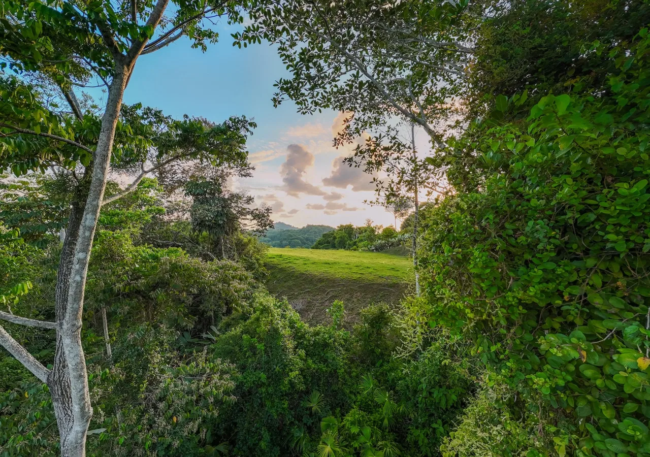 BUILDING PROPERTY WITH BEAUTIFUL VIEWS OF THE OCEAN AND SUNSET, IN TRES RIOS – 1.96 ACRES, photo 5