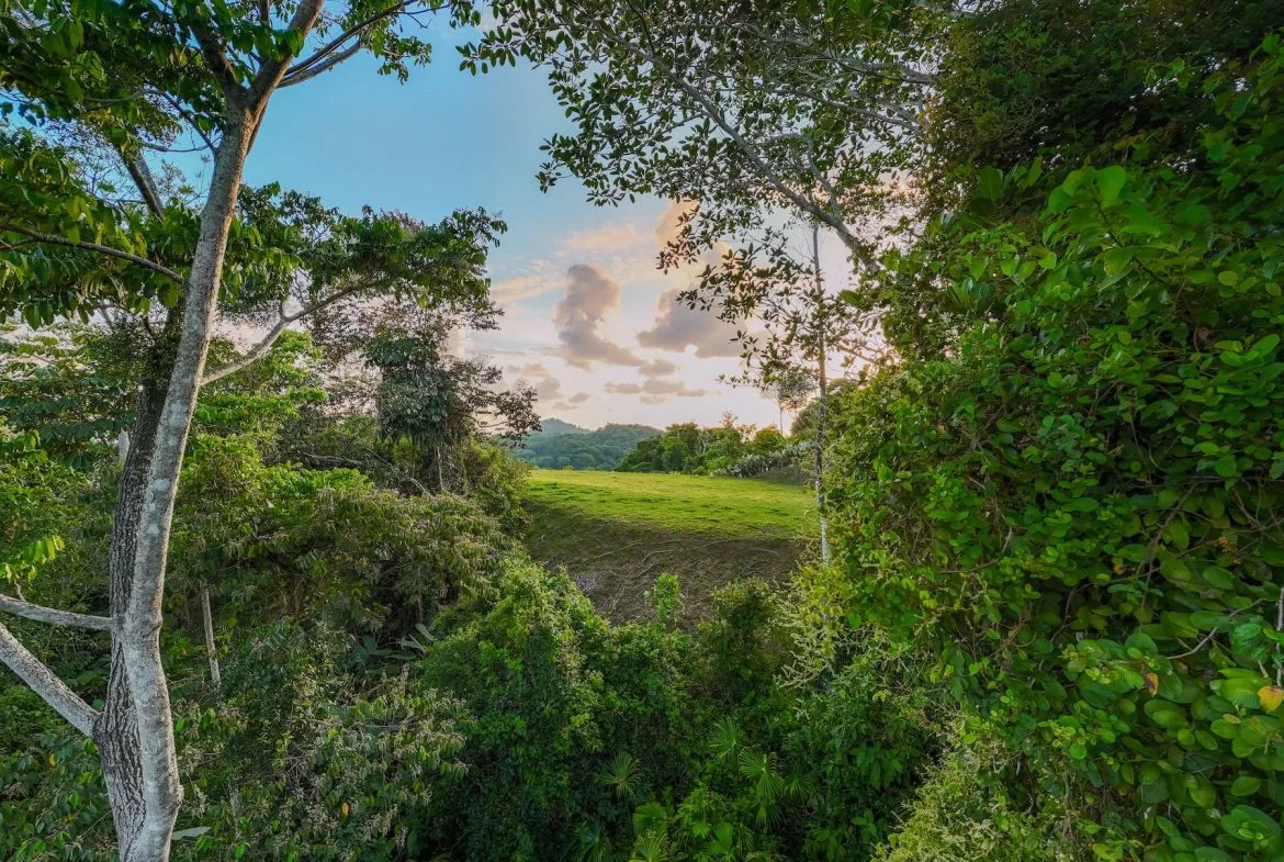 BUILDING PROPERTY WITH BEAUTIFUL VIEWS OF THE OCEAN AND SUNSET, IN TRES RIOS – 1.96 ACRES, photo 6