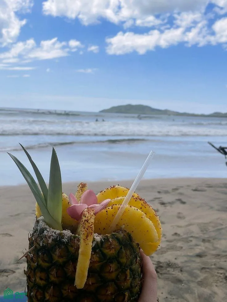 Vista Del Barco Beachfron Beachfront Playas Del Coco Guanacaste, photo 11