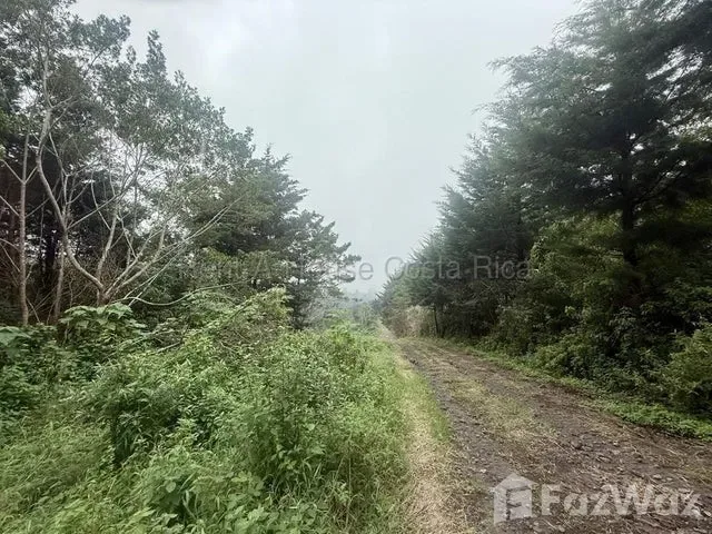 Land for Sale at Bo. Jesús for $91,700