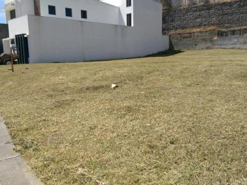 Land For Sale in Montes de Oca, photo 6