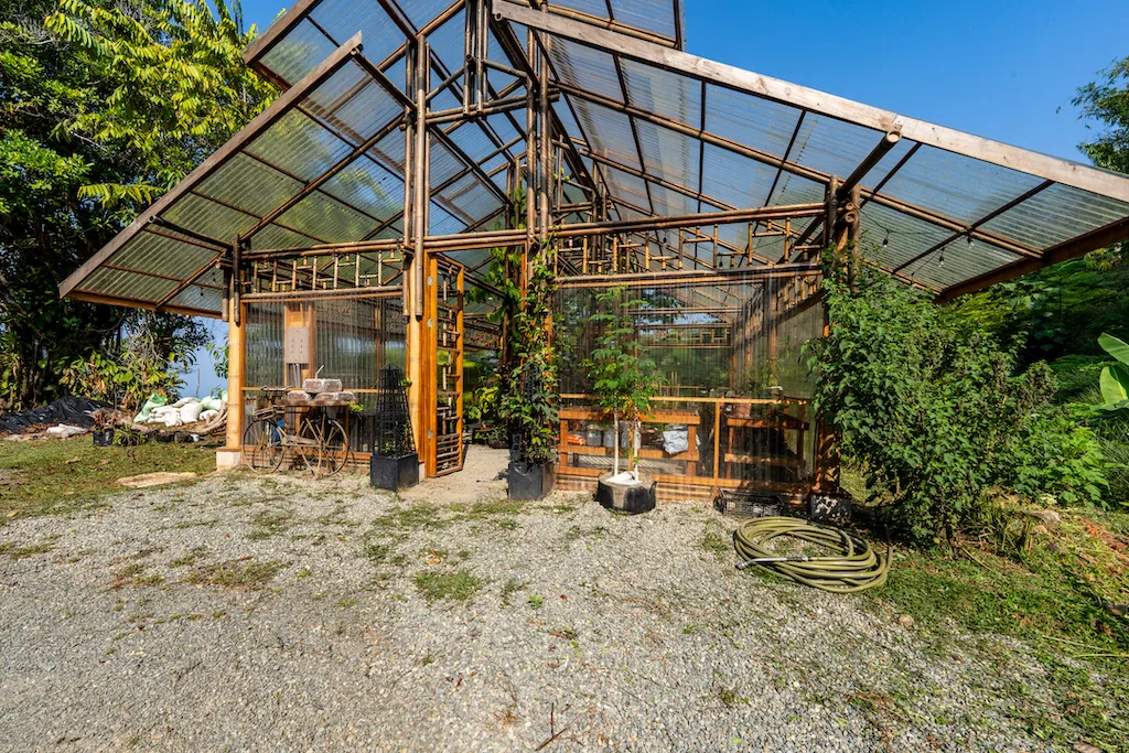 Whales Tail and Sunset Views Lot  With Greenhouse – 2.5 Acres, photo 11