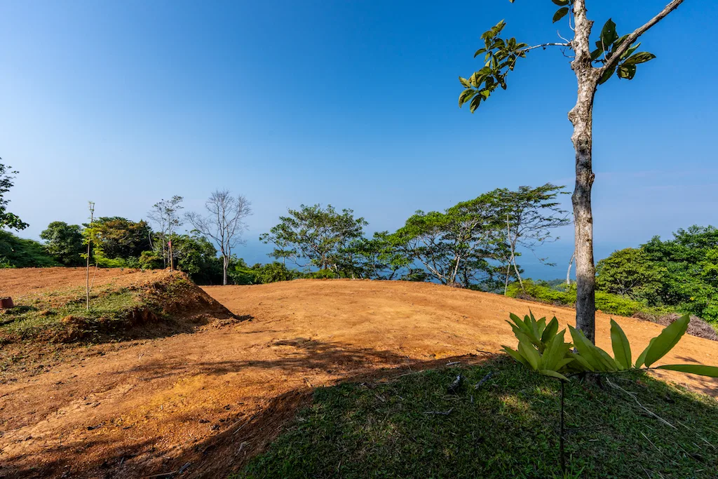 Whales Tail and Sunset Views Lot  With Greenhouse – 2.5 Acres, photo 6