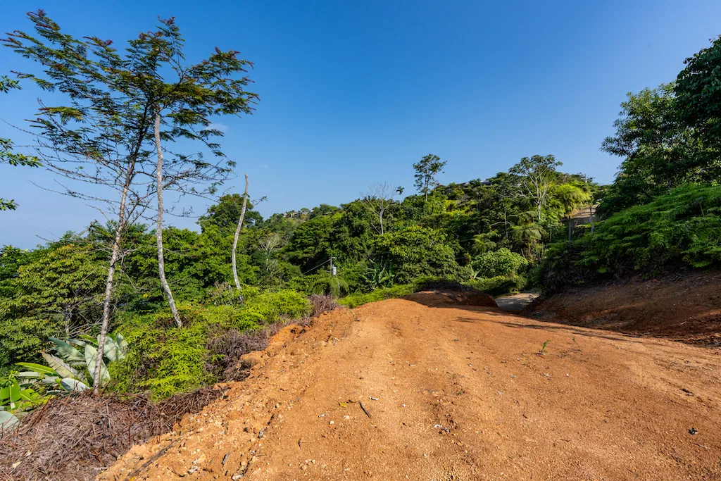 Whales Tail and Sunset Views Lot  With Greenhouse – 2.5 Acres, photo 8