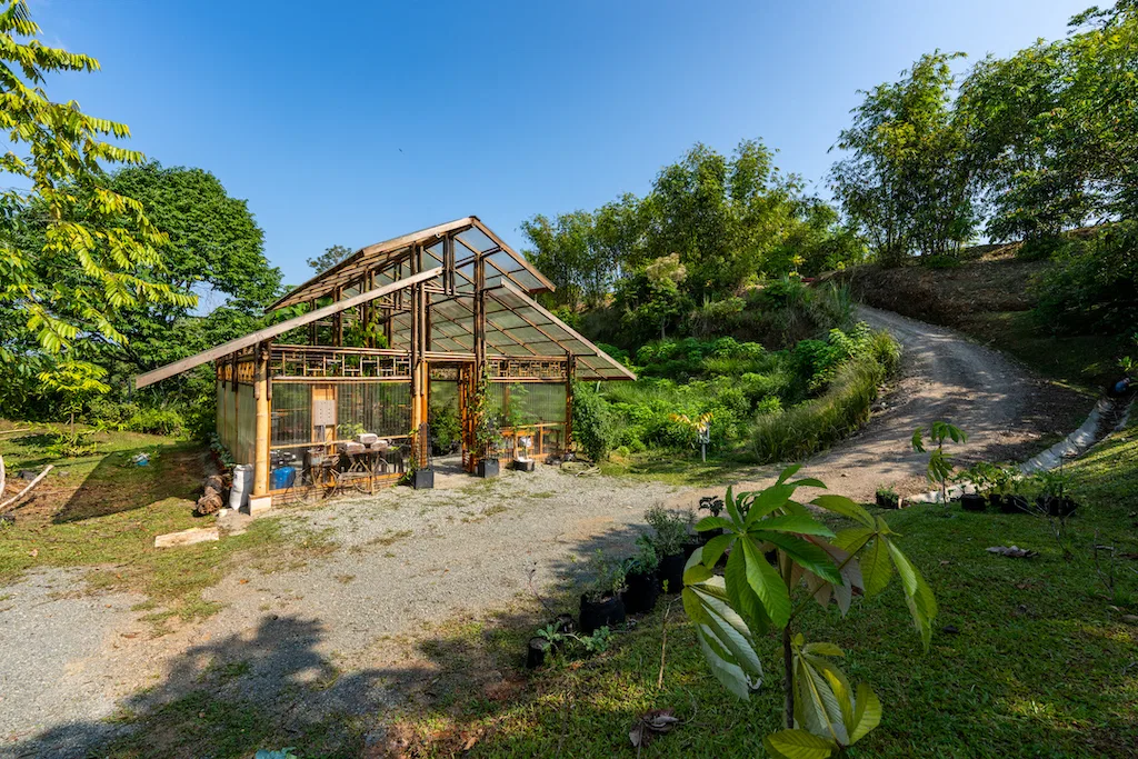 Whales Tail and Sunset Views Lot  With Greenhouse – 2.5 Acres, photo 10